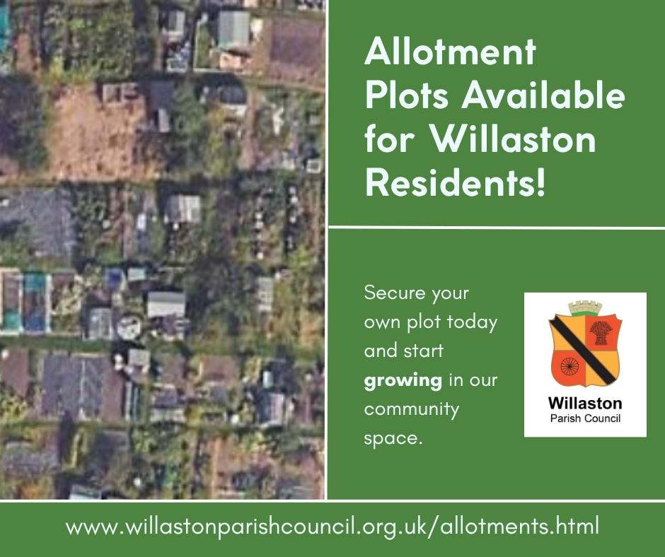 Allotment Plots Available
