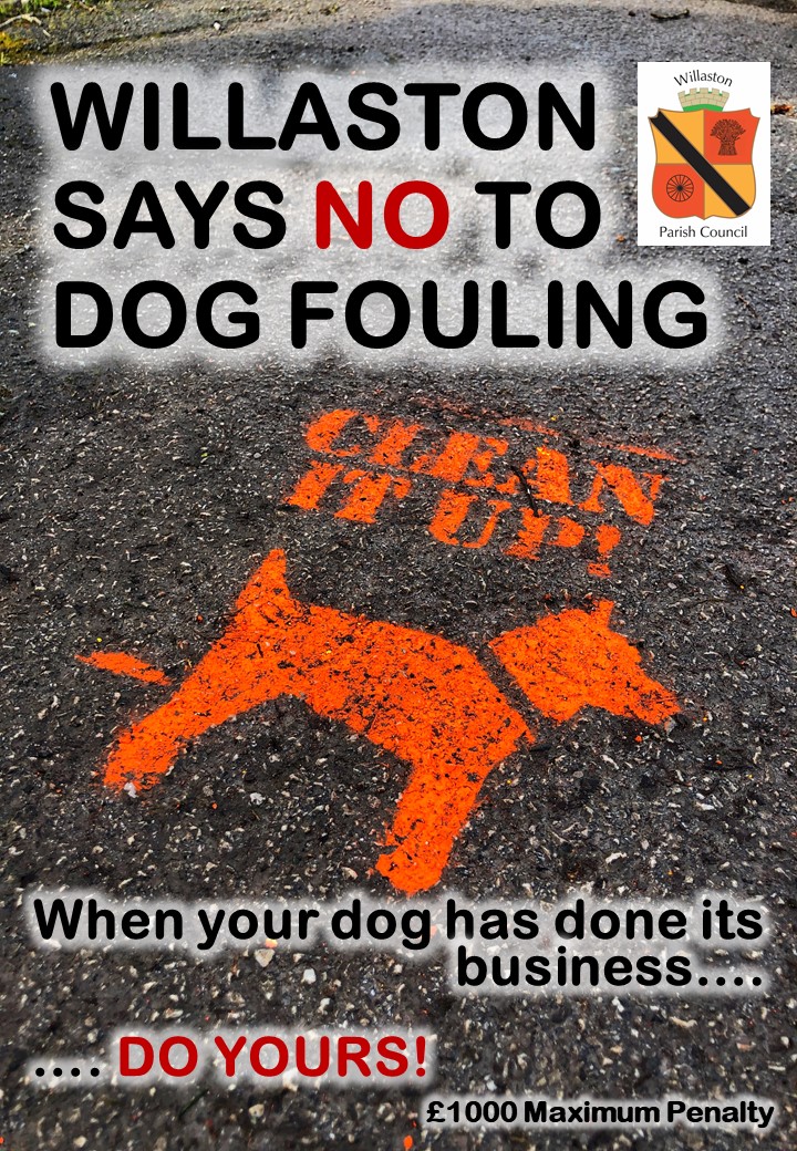 Dog Fouling Poster 2021
